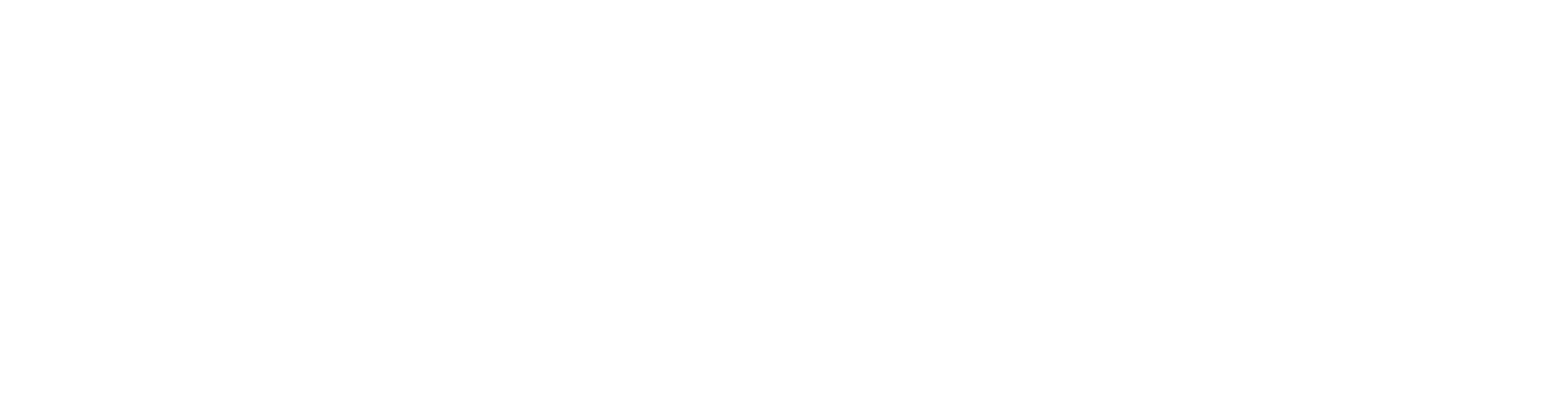 nSearch Technologies